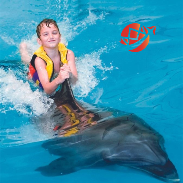 1Dolphinarium