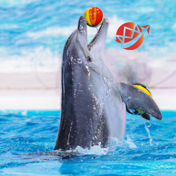 2Dolphinarium