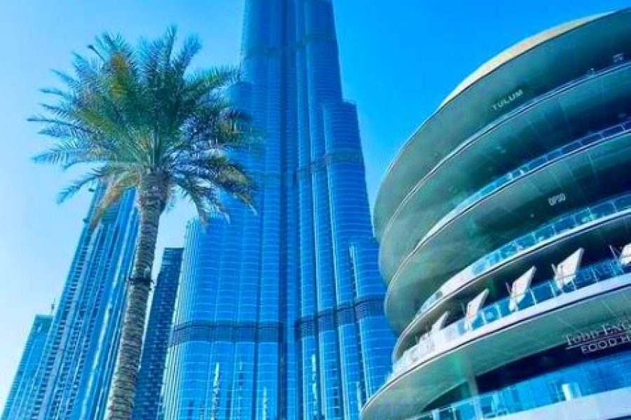 Private Dubai Half Day City Tour