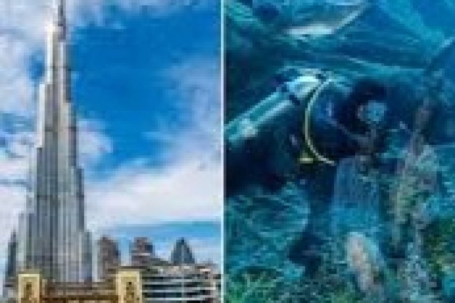 ATT, Burj Khalifa + Dubai Aquarium & Underwater Zoo