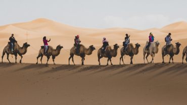 Unleashing the Thrill of Dune Bashing in Dubai with Regent Connect